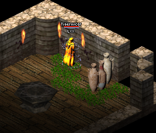 Skellie 5 Entrance.png