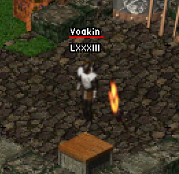 Yoakin.png