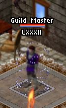 Guild Master.jpg